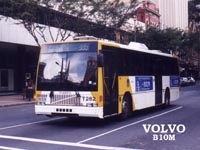 Photo81s.JPG (15447 bytes)